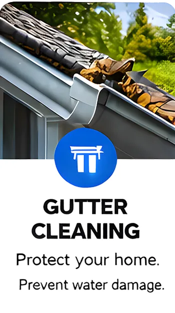 gonextlevelcleaning-home-10