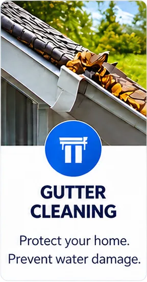 gonextlevelcleaning-home-16